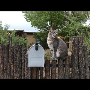 Meet your Posher, James